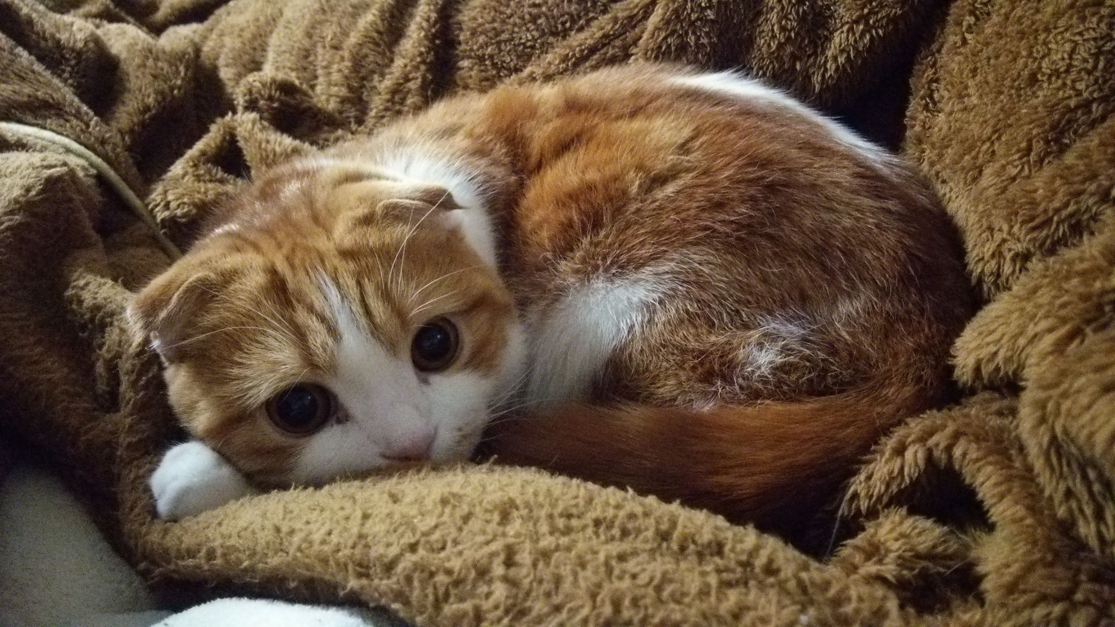 ブロク再開しました